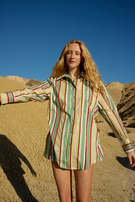 ASTON STUDIO Buddy Shirt - Meadow Stripe