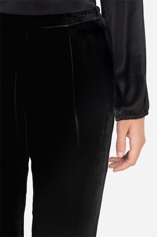 Johnny Was Patoshik Tapered Velvet Pant - Black