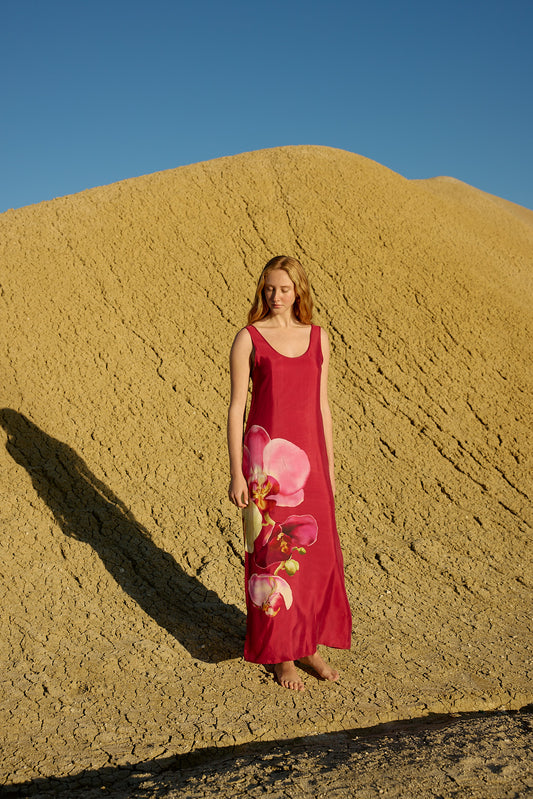 ASTON STUDIO Poppy Dress - Redcurrant Phalae