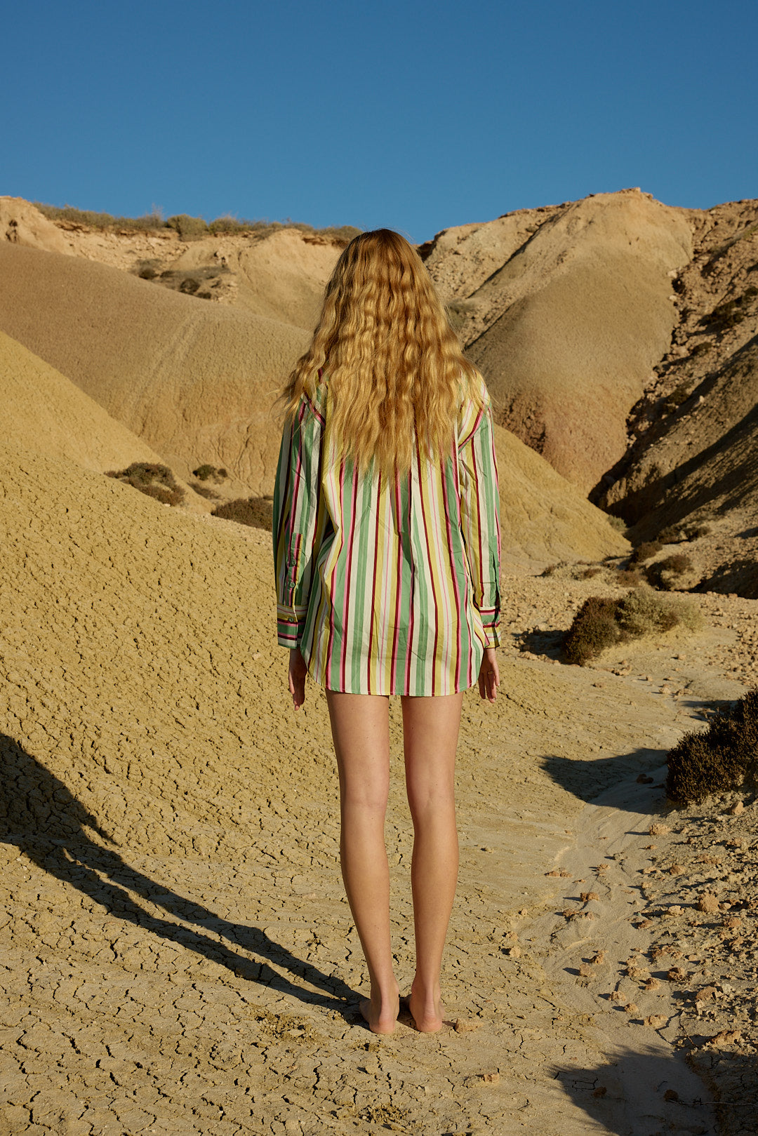 ASTON STUDIO Buddy Shirt - Meadow Stripe